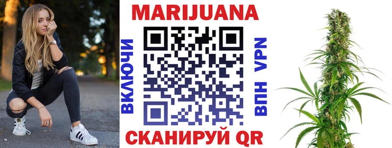 Купить где  Весьегонск  Канабис ГИДРОПОН 
